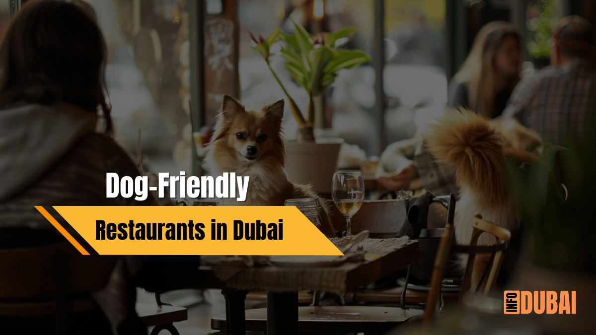 Best Dog Friendly Restaurants in Dubai: Your Ultimate Guide