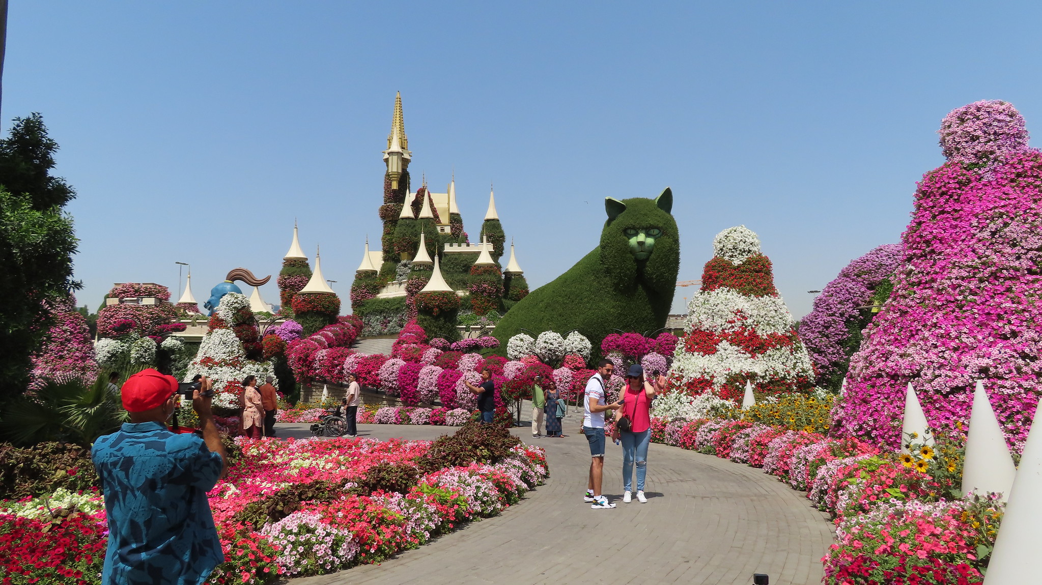 Dubai Miracle Garden Photo