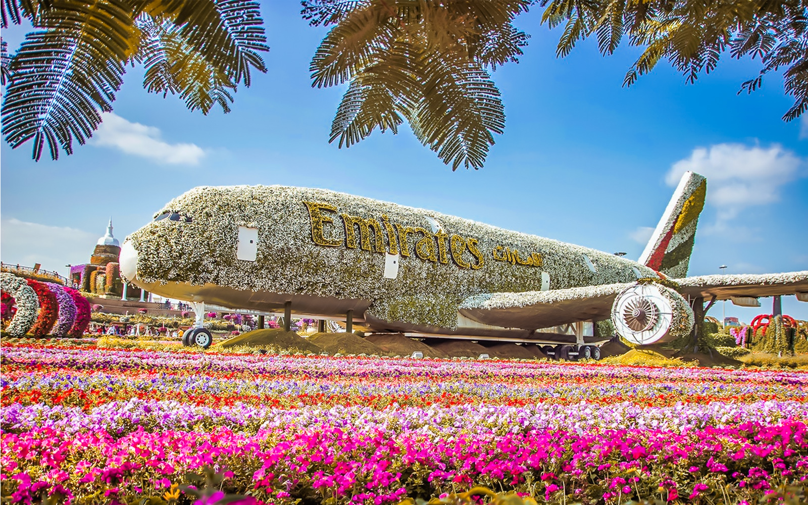 Dubai Miracle Garden Photo