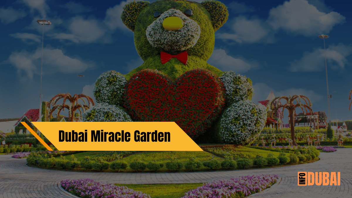 Dubai Miracle Garden: Your Comprehensive Guide to Getting There